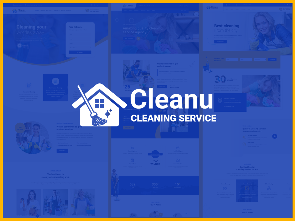 Cleanu